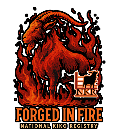 T-Shirt - Forged In Fire